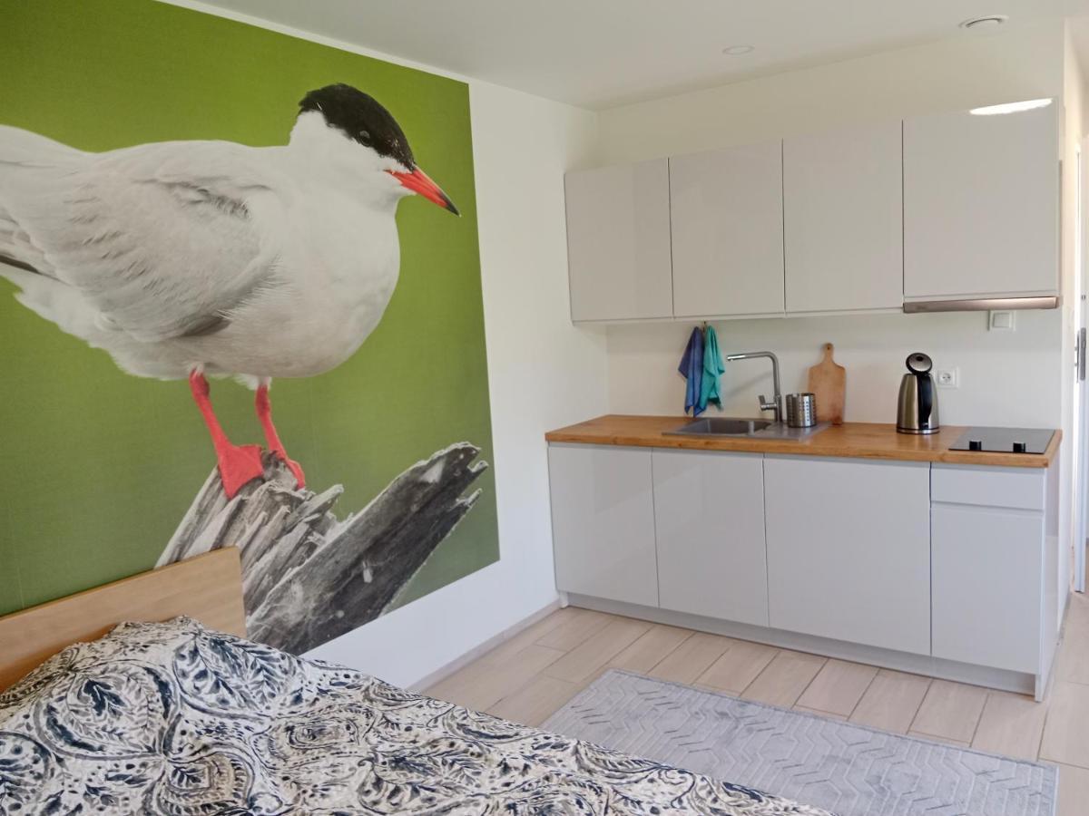 Apartamenty I Domki Osinscy Braniewo Kültér fotó