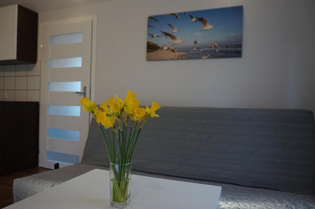 Apartamenty I Domki Osinscy Braniewo Kültér fotó